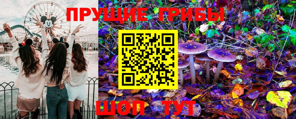 Галлюциногенные грибы Cubensis  Вход с VPN  Ливны  Галлюциногенные грибы GOLDEN TEACHER 